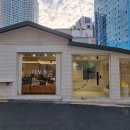 베스트애견 이미지