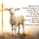 어린양