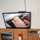 세솔팬션 이미지