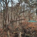 중리(구곡) 이미지