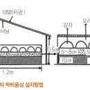 감자 - 재배관리 가을재배 이미지