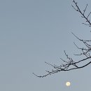 의성꽃화원 이미지