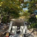 향림오토캠핑장 | 경치도 이웃도 사장님도 좋았던 밀양 향림오토캠핑장(2023.10)