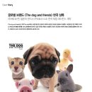 에이전트케이 이미지