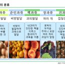 과실 구조에 따른 과일 분류 이미지