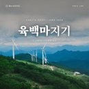 동부지방산림청 청사 | 🌼 평창 육백마지기 데이지 26년 개화율은?