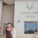 (주)인투씨엔에스 이미지