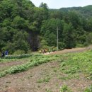 하늘마루염소목장 이미지