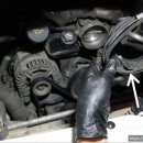 백구크리닝 이미지