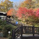 신선동-12 이미지