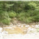 무릉도원 펜션 이미지