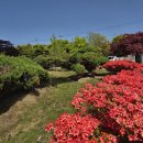 [8편] 2024년4월27일 토요일 서해랑길 65코스를 다녀와서! 이미지