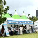 에이치엠엠피에스에이신항만(주)