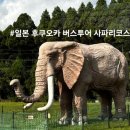사람이아름다운태권도 | 일본 후쿠오카 여행 _ 아기랑 유후인 벳부 아메리칸 사파리 버스투어 후기!