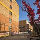 창원유니시티부동산공인중개사사무소 | 창원 유니시티 아파트 궁금해요 매매 전세ㅣ우림ㅣ부동산