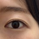 고리울로 | 부천 속눈썹펌 잘하는곳 추천 | 머디데이 자연스러운 컬 후기