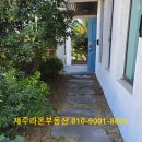 관광단지 라온2 이미지