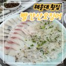 빨간산오징어 이미지