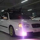 지티(GT)