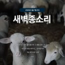 선한 목자 이미지