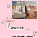 돋움미디어