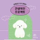 (주)꿈꾸는집2 이미지