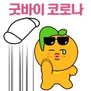 도도투어 이미지