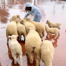 여운목장 이미지