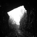 사무엘 목장 이미지