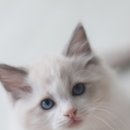 리터바이 이미지