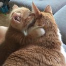 서울연사 이미지