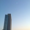 엠호텔(M호텔) 이미지