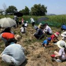 밀양아리랑 오토캠핑장 이미지