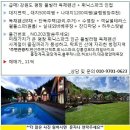 강원도 평창 풀빌라 독채펜션+글램핑장부지 1700평 이미지