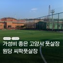 씨팍풋살장