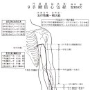 수궐음심포경 이미지