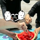 태양미싱 | 백패킹 장비 모으기2