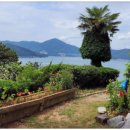 섬마을집펜션민박 이미지