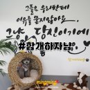 함개하자냥 세번째 방문 ^ㅅ^ 갈수록 죠아져 ~~!