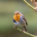 진위면옥 이미지