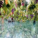 새들의 정원 이미지