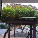 자은경로당 네이버블로그