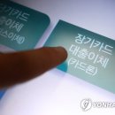 “대출금리 20% 육박해도 빌리려고 난리” 불황에 역대최대 기록한 카드론 이미지