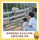파주힐링캠프 | [파주] 동화힐링캠프 콘소넌스카페 (동물체험하기 좋아요!)