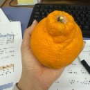 태극당한의원 | 지난 1년간 나의 임신준비기🍀