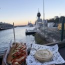 CAFE THE DOG | 호주 시드니 미트파이 현지맛집, 솔직후기(Harry’s Cafe de Wheels/The Grumpy Baker)