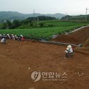 임실 가덕리 하가구석기유적 이미지