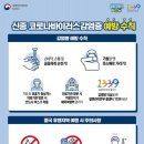 베리폴댄스 이미지