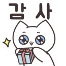 미오미오 고양이분양 이미지