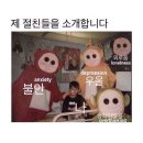 드루와 학교야~~🐈